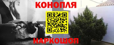 ПСИЛОЦИБИНОВЫЕ ГРИБЫ Гусев