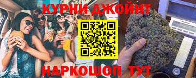 прущие грибы Гусиноозёрск