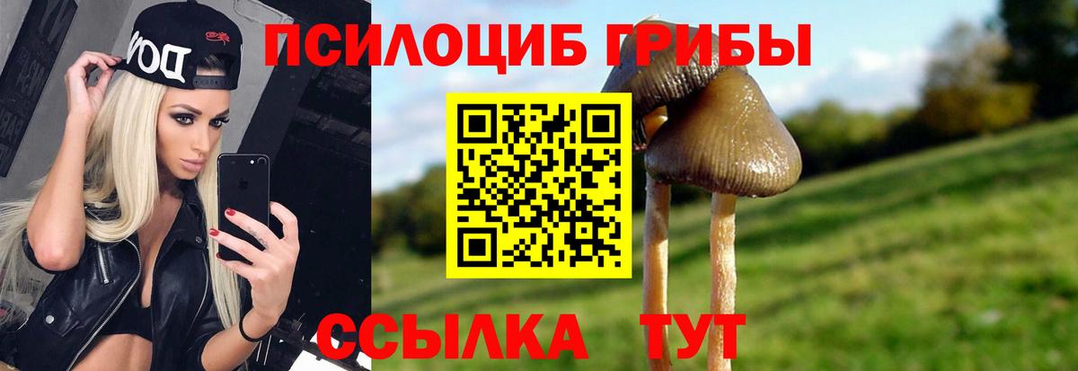 Нижний Новгород  Псилоцибиновые грибы мицелий  Вход с VPN  Галлюциногенные грибы мицелий 